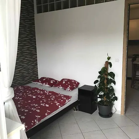 Blue Star 3 Wellness